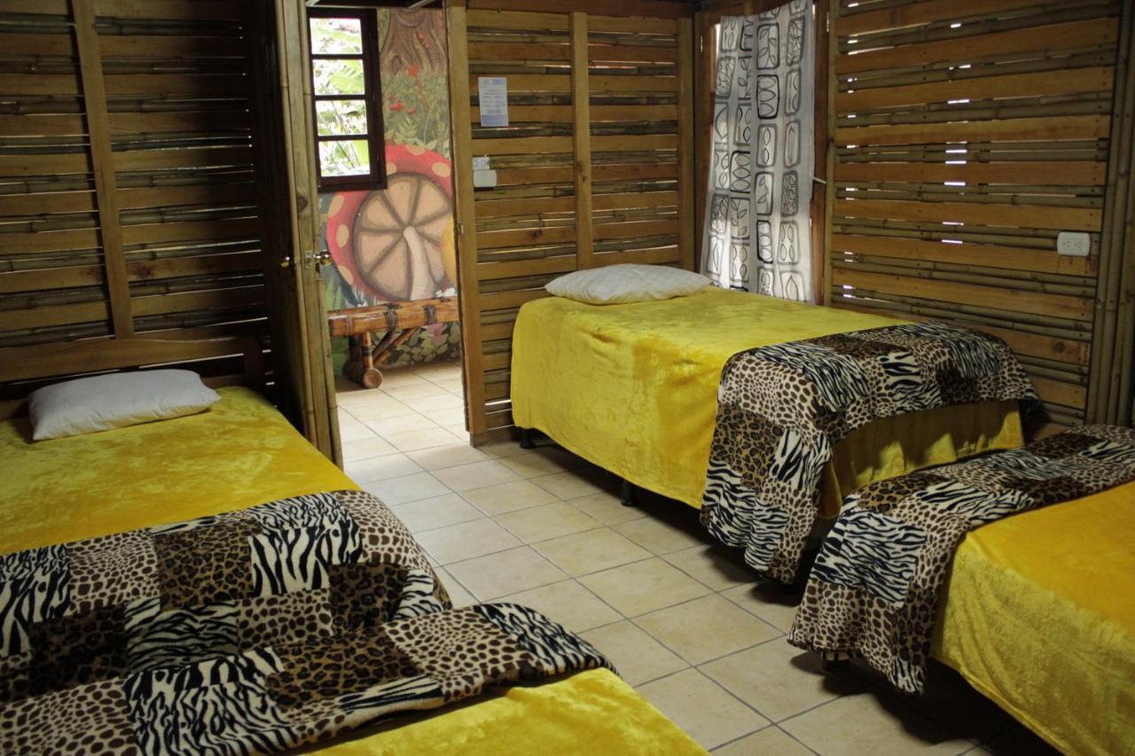 Hostal Casa Buho Antigua Extérieur photo